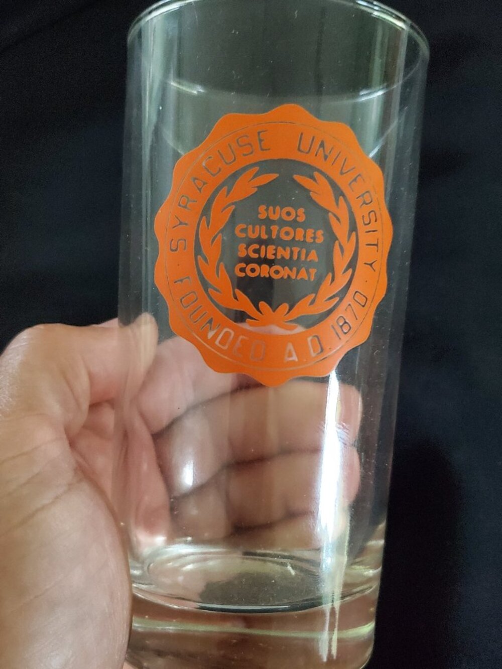 Vintage Syracuse University SU 'Cuse Emblem Seal Drinking Water Glass 5.5' Tall